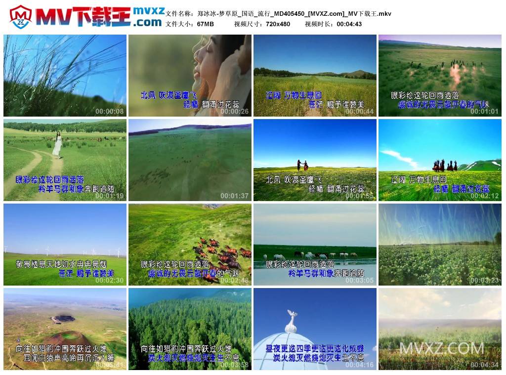 郑冰冰-梦草原_国语_流行_MD405450